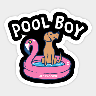 Pool Boy Sticker